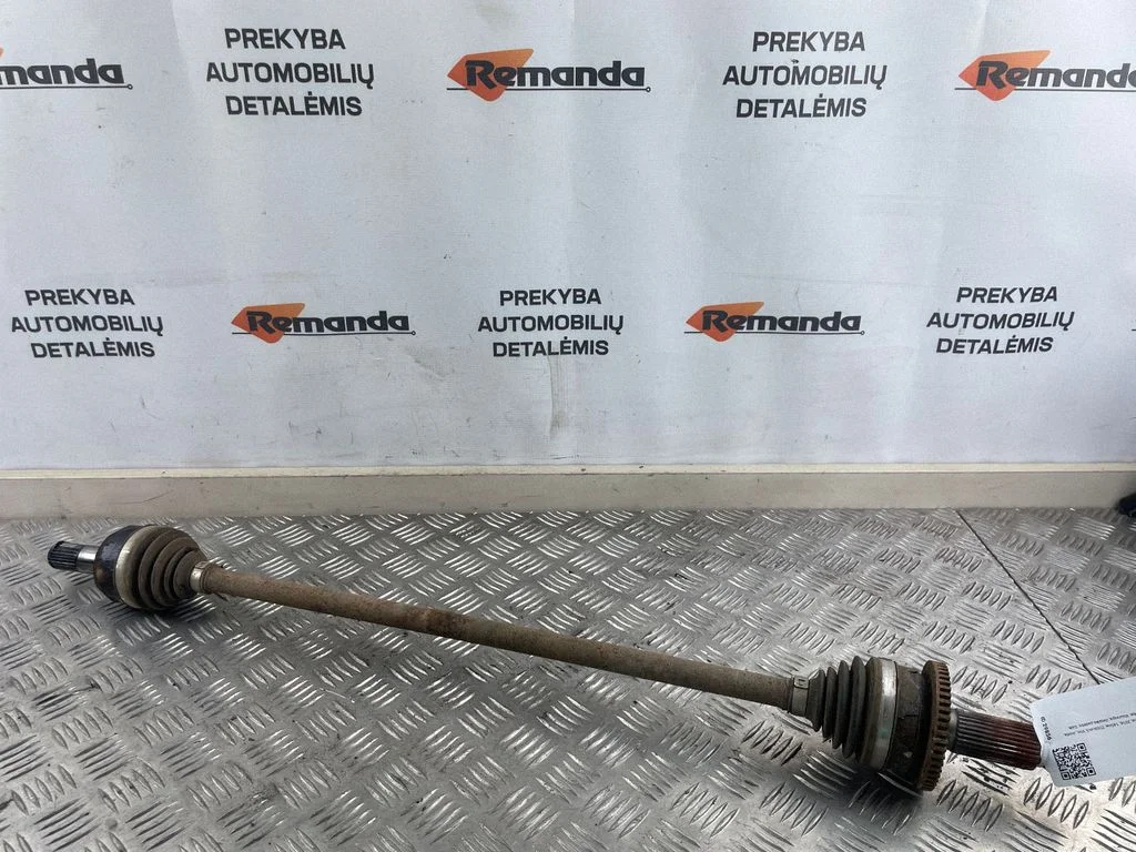 Aizmugurējā pusass 49601C5000