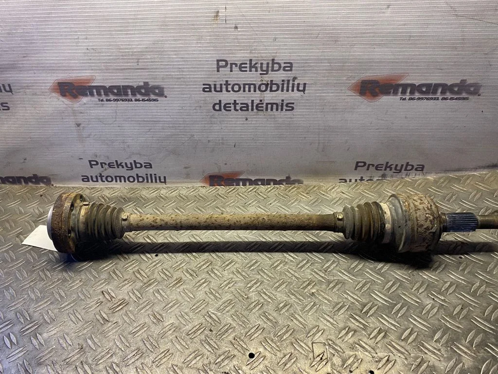 Aizmugurējā pusass