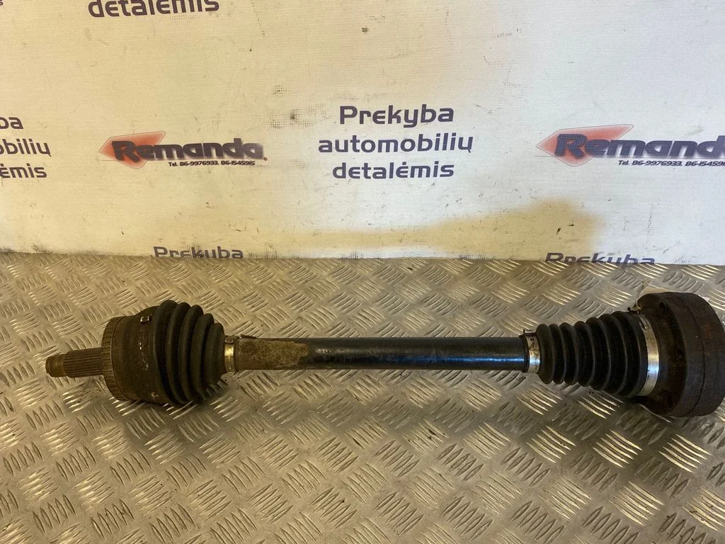 Aizmugurējā pusass