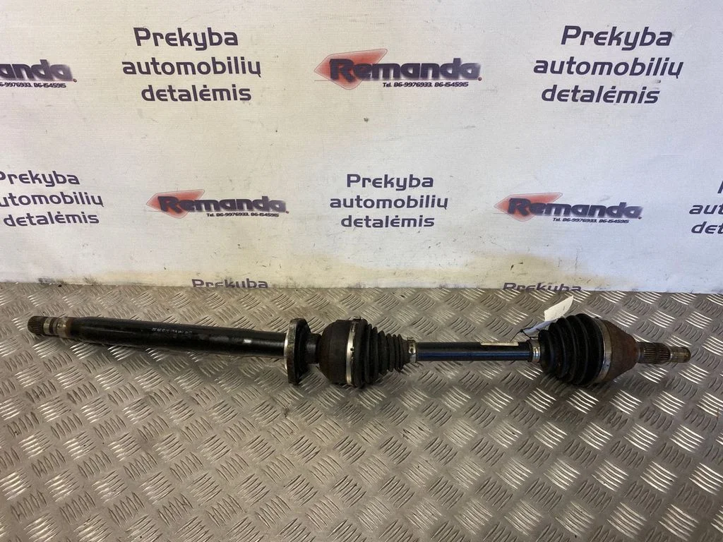 Priekšējā pusass 13219092