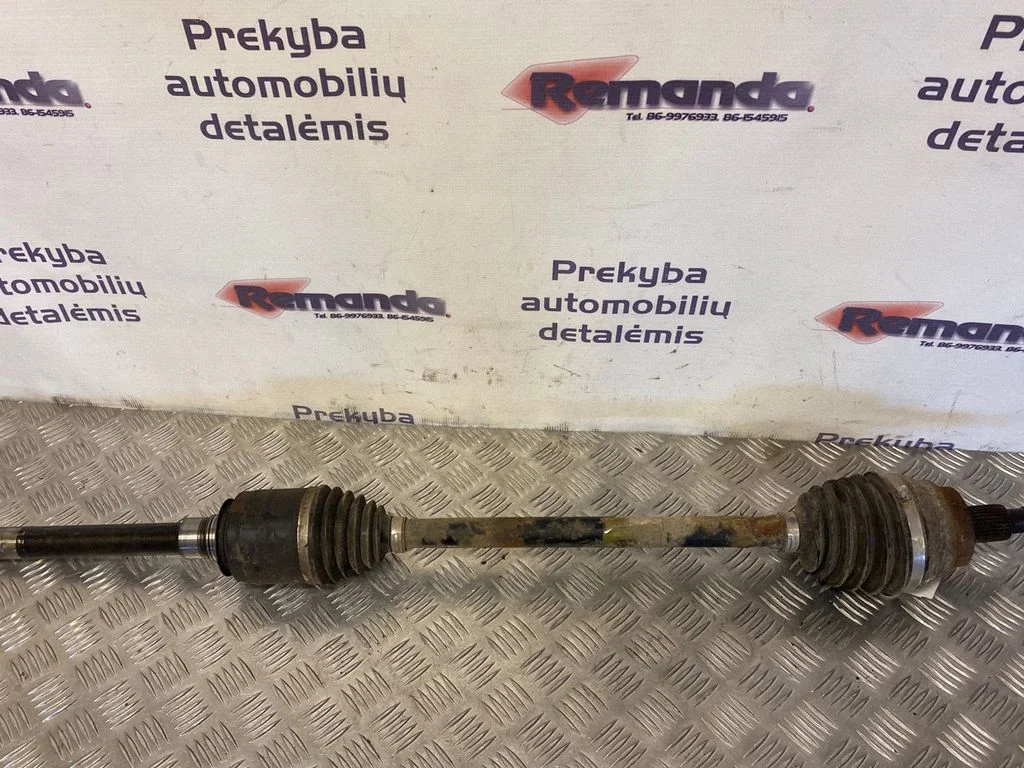 Priekšējā pusass – priekšējā labā
