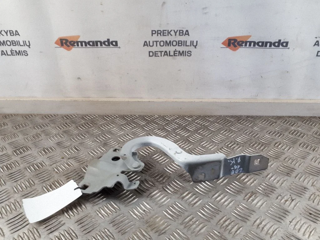 Engine bonnet/hood hinges 554018609R