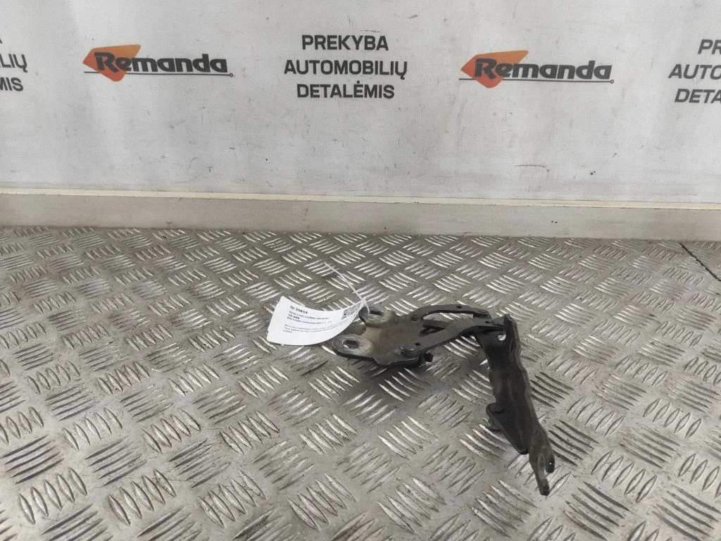 Motora pārsega eņģe (-es) 9801569