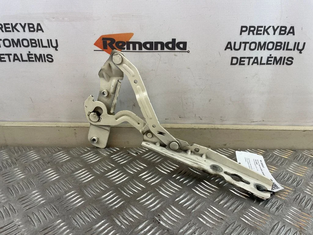 Motora pārsega eņģe (-es) CN1516800CBRH