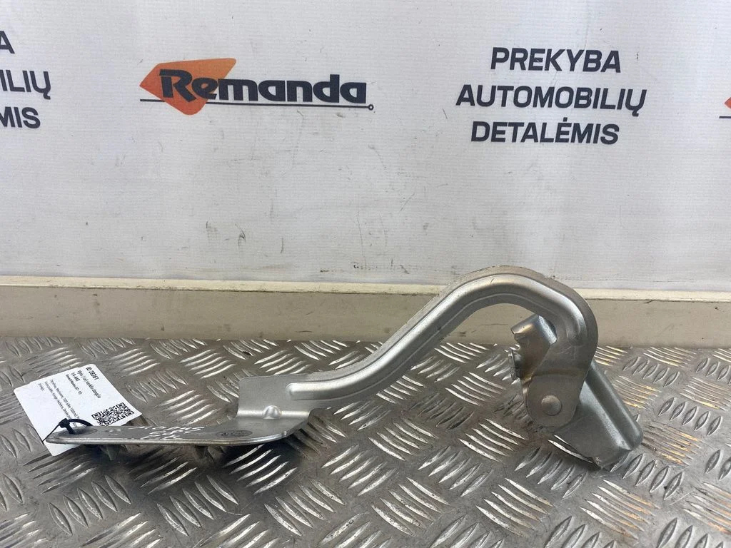 Vyris (-iai) variklio dangčio