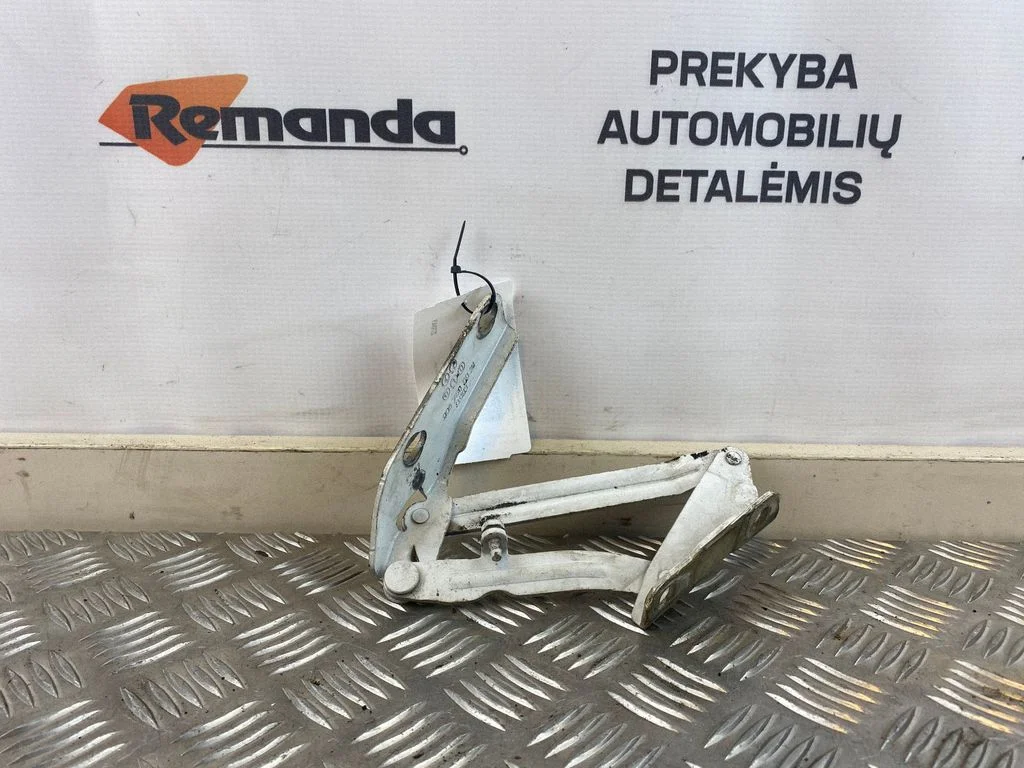 Vyris (-iai) variklio dangčio