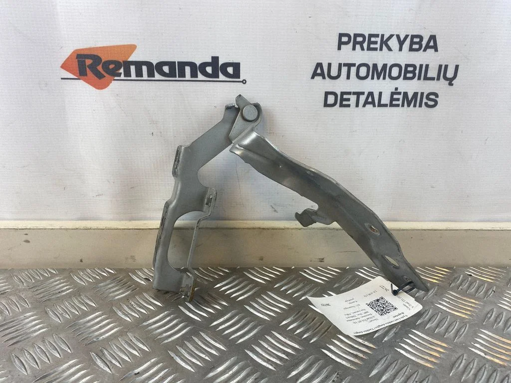 Engine bonnet/hood hinges – front left