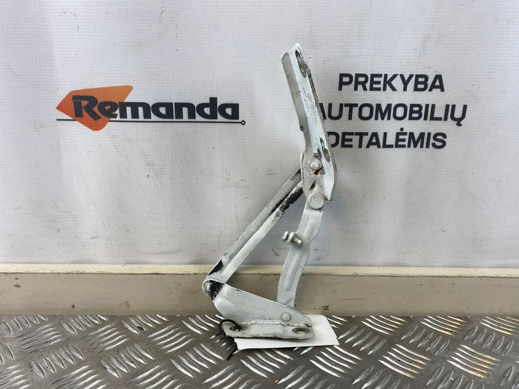 Vyris (-iai) variklio dangčio