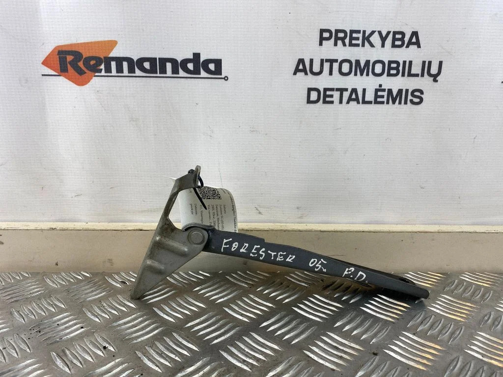 Motora pārsega eņģe (-es) – priekšējā labā