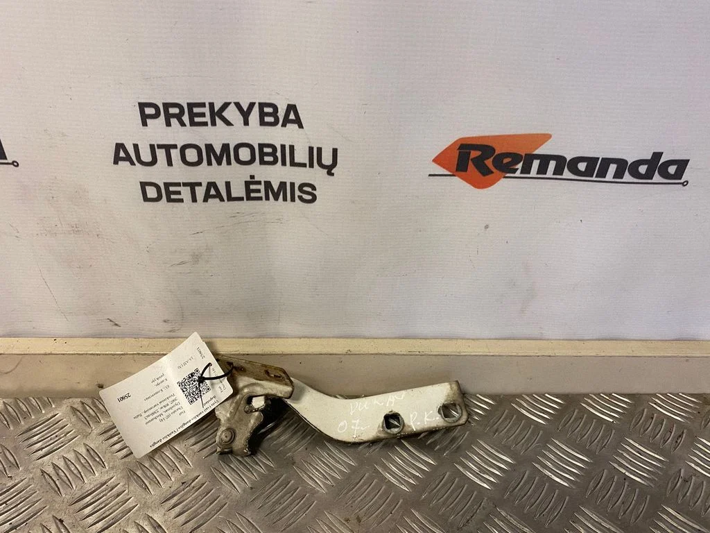 Vyris (-iai) variklio dangčio