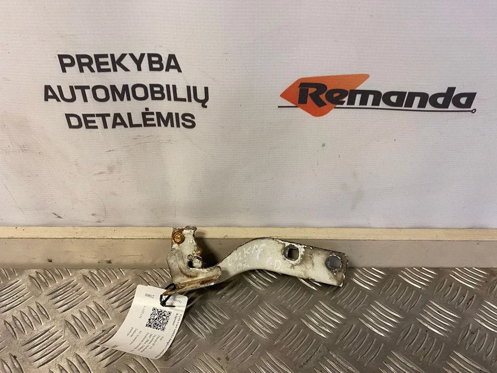Vyris (-iai) variklio dangčio