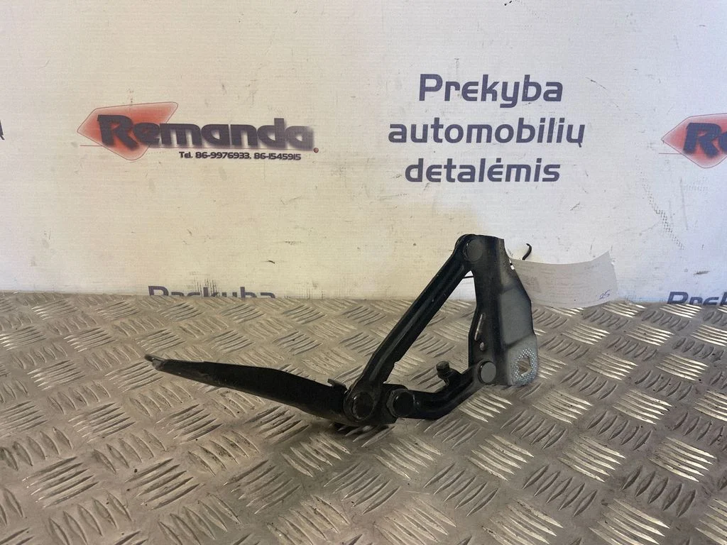 Motora pārsega eņģe (-es) – priekšējā labā