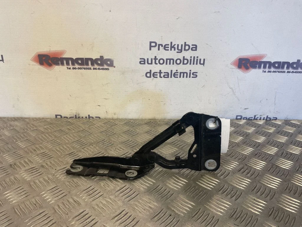 Motora pārsega eņģe (-es) A2518800