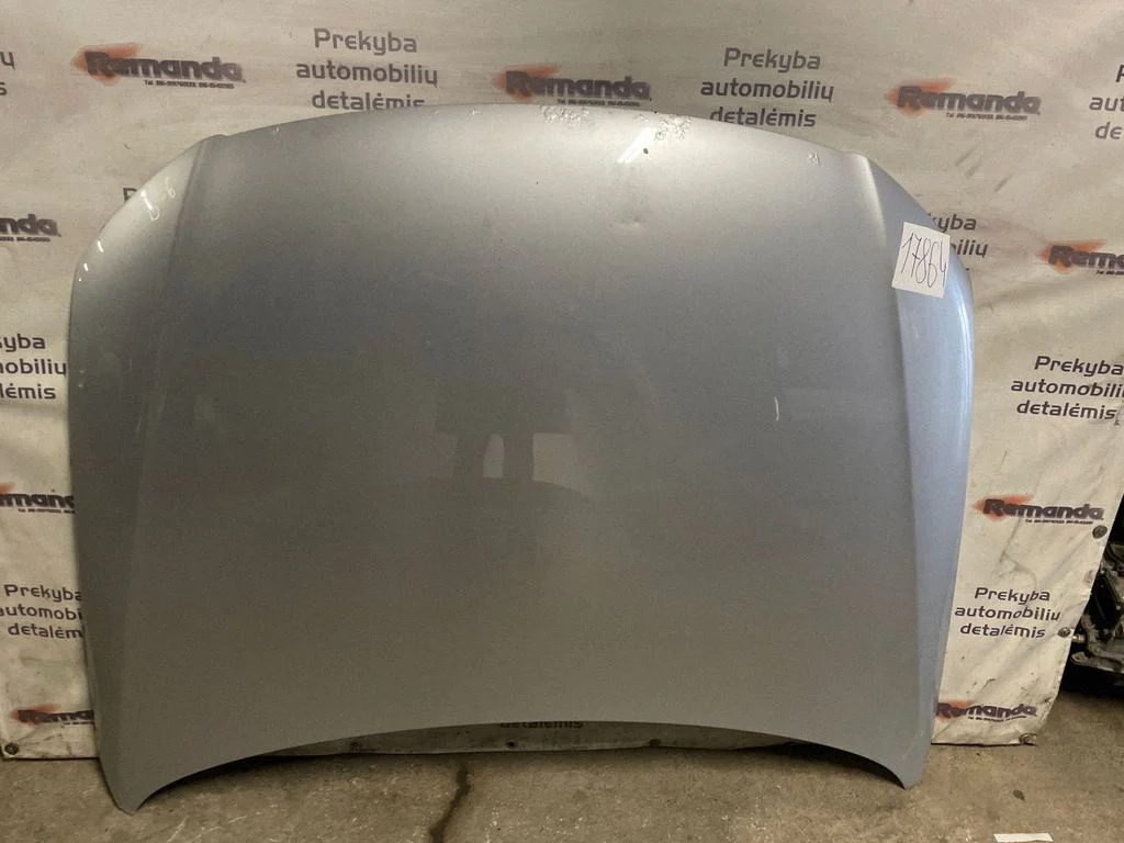 Engine bonnet/hood