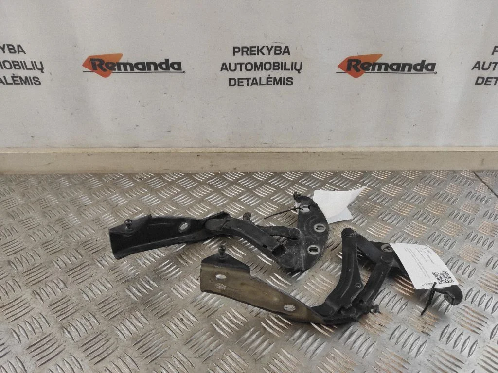 Zawiasy maski 3D0823302C