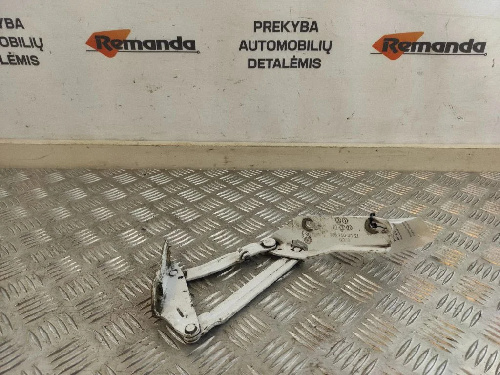 Vyris (-iai) variklio dangčio