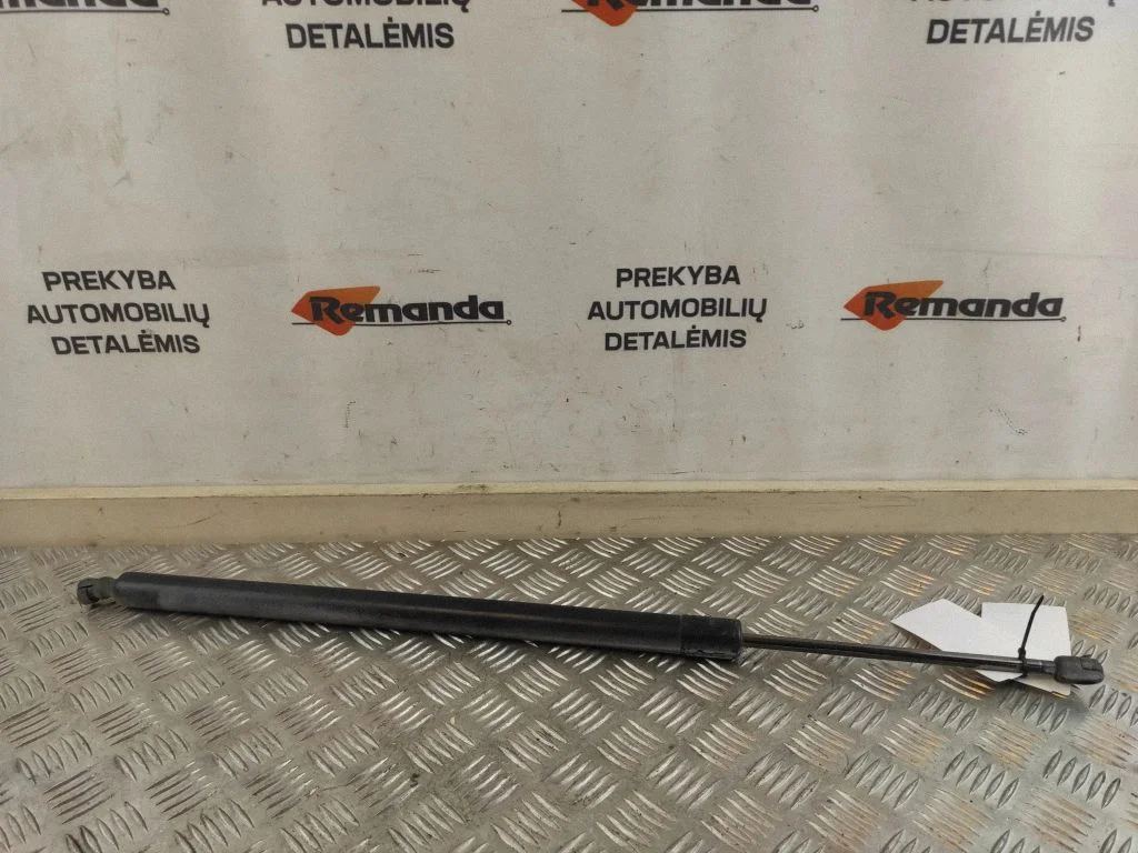 Tailgate/trunk strut/damper – rear