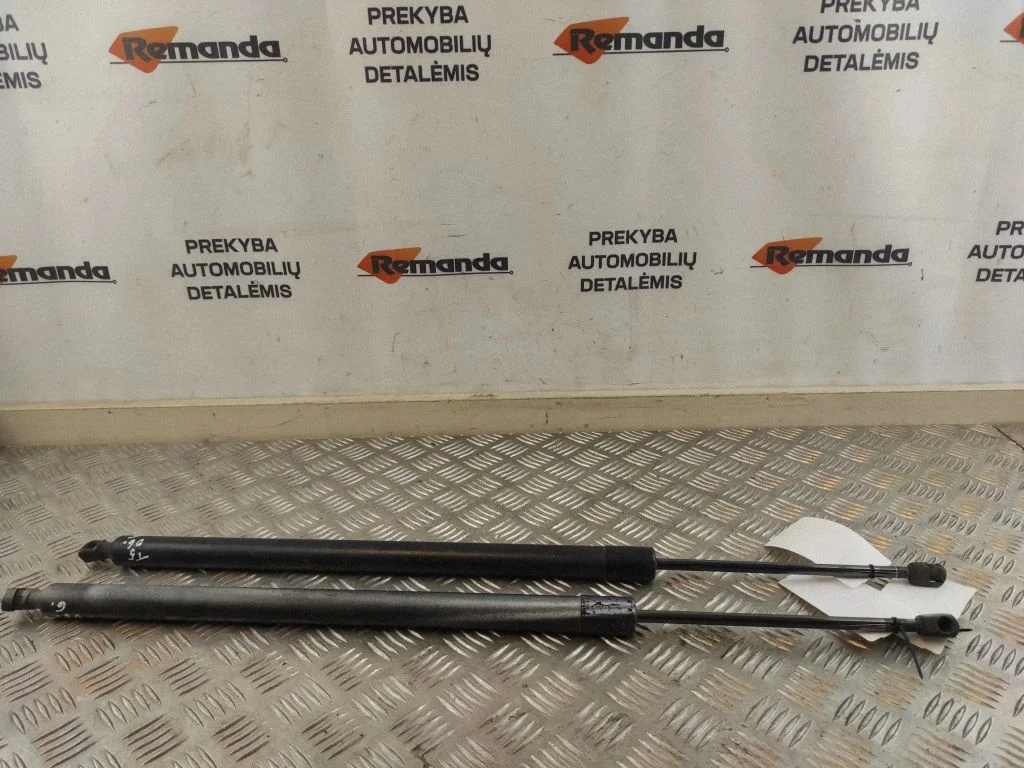 Tailgate/trunk strut/damper