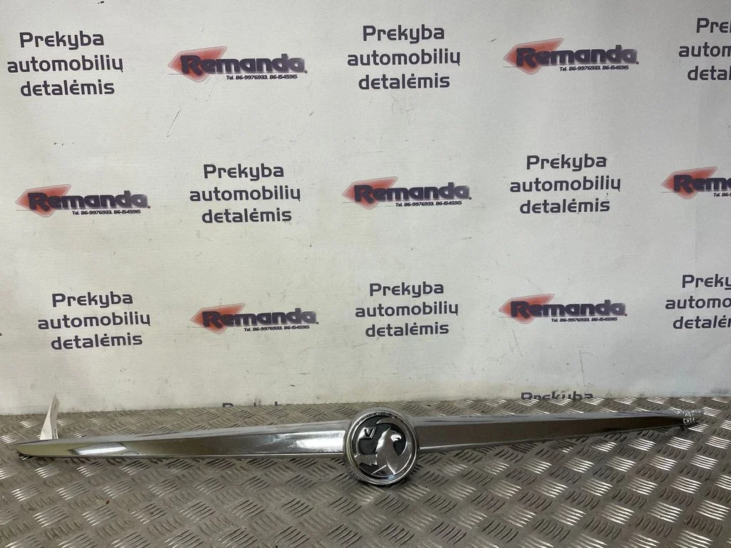 Atidarymo rankenėlė galinio dangčio (išorinė)