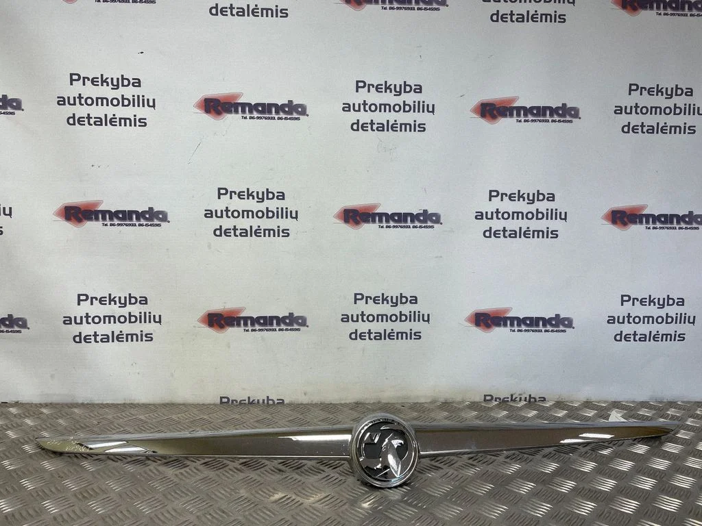 Atidarymo rankenėlė galinio dangčio (išorinė)