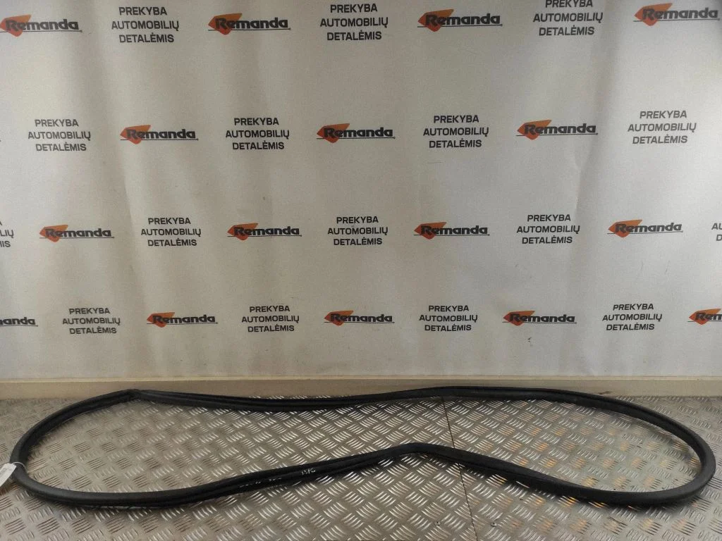 Front door rubber seal – front left