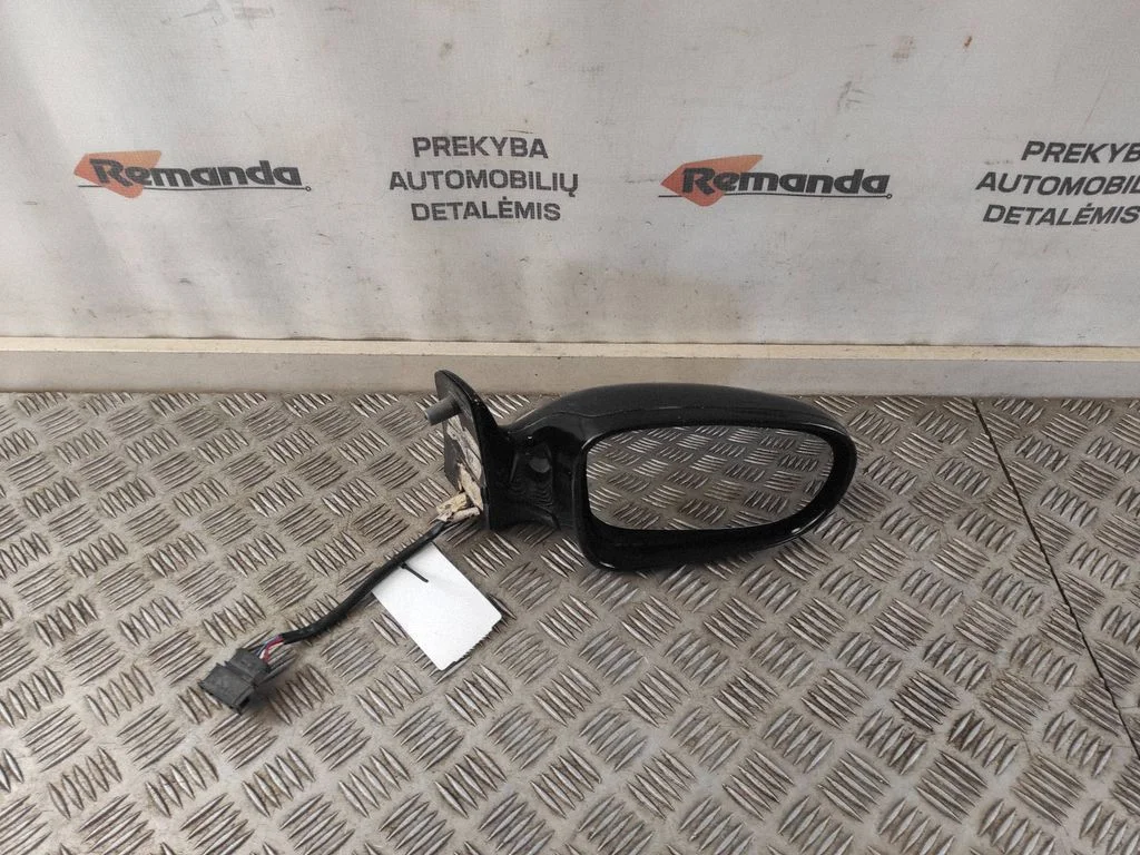 Spogulis (elektriski regulējams) E1010414