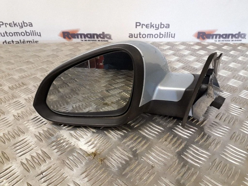 Front door electric wing mirror E1021002