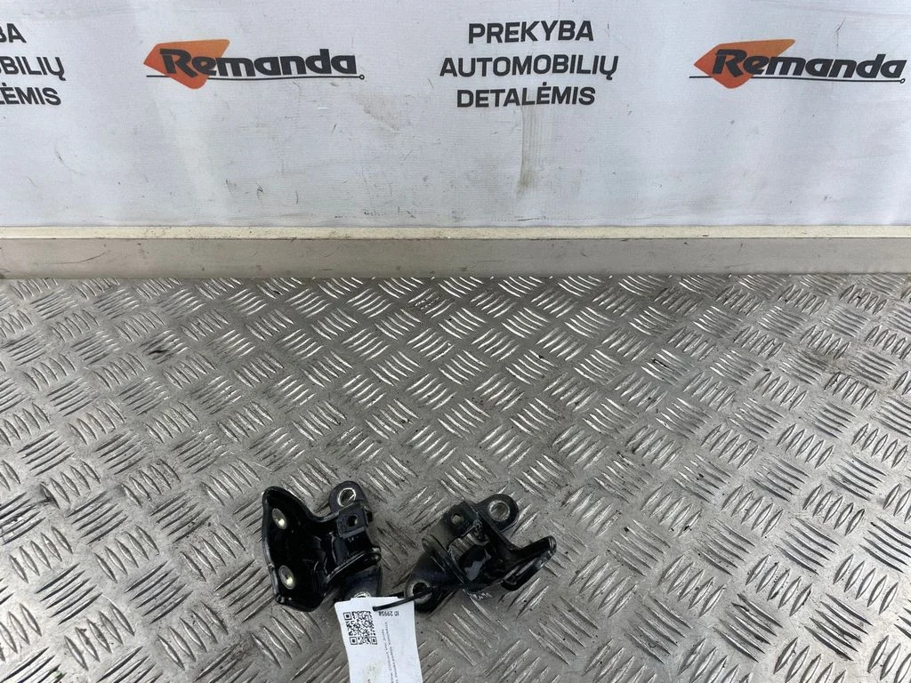 Galinis vyrių komplektas