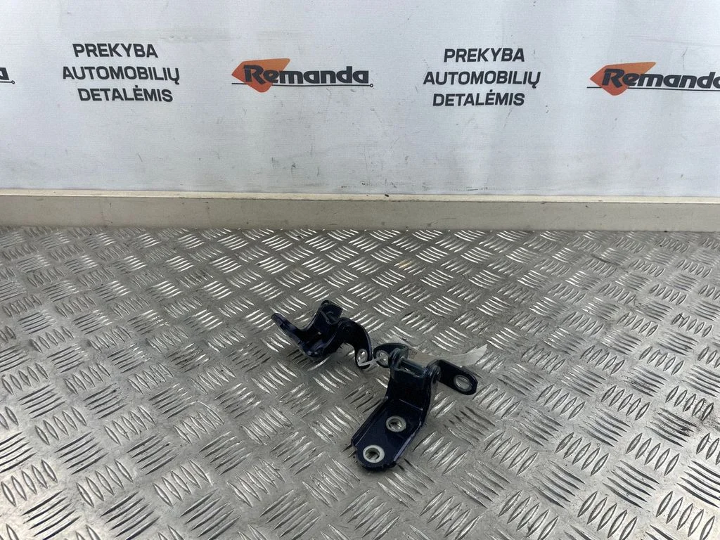 Galinis vyrių komplektas
