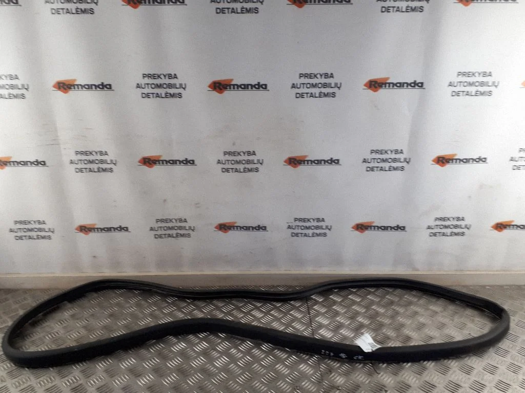 Rear door rubber seal (on body) – rear left