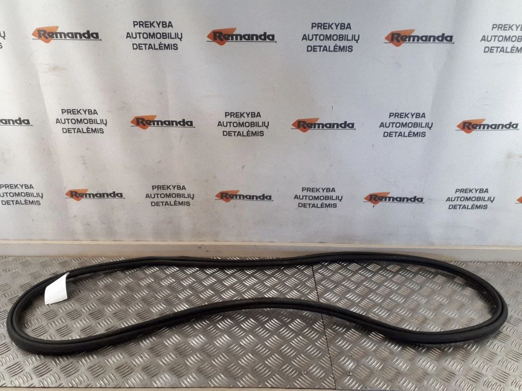 Rear door rubber seal (on body) 31371773