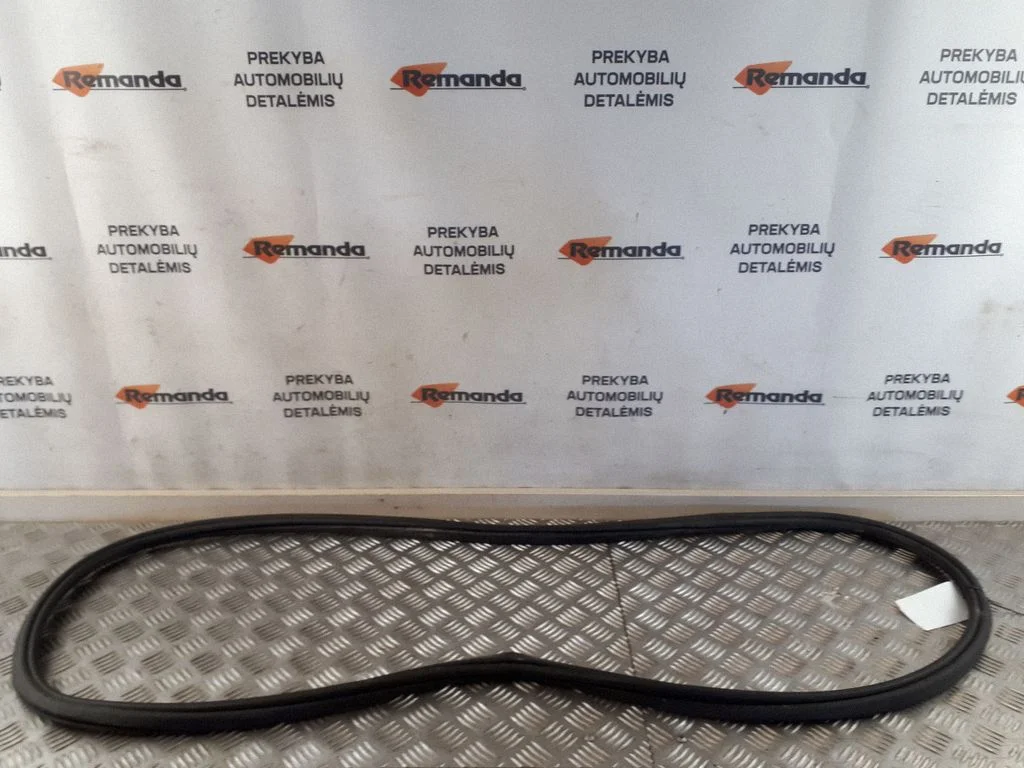 Rear door rubber seal (on body) 31371590