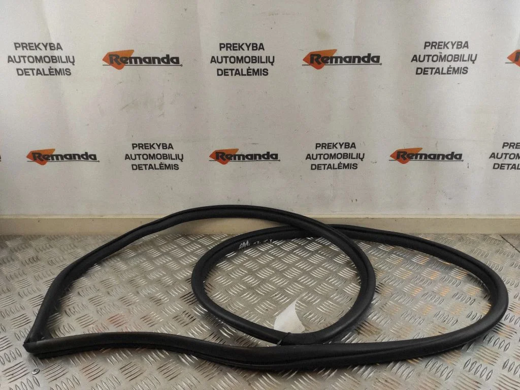 Rear door rubber seal (on body) – rear left