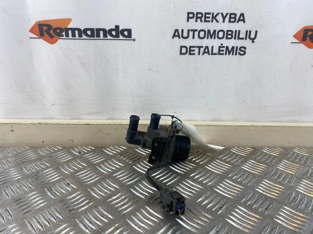 Elektriskais cirkulācijas sūknītis