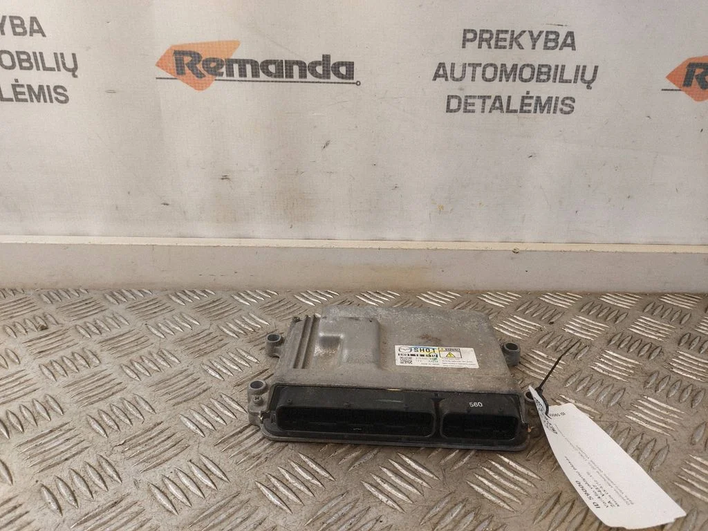 Dzinēja vadības bloks 2757006383