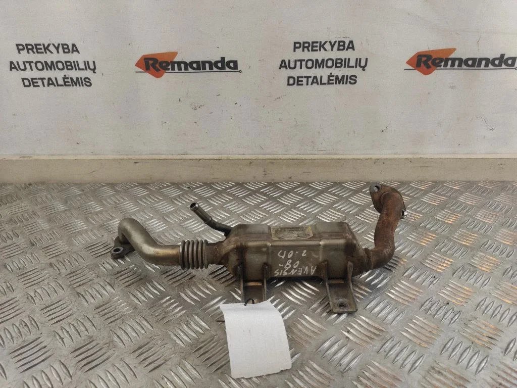 EGR dzesētājs 256800R01000