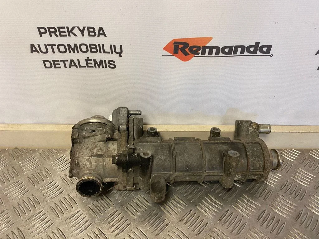EGR dzesētājs 504136967