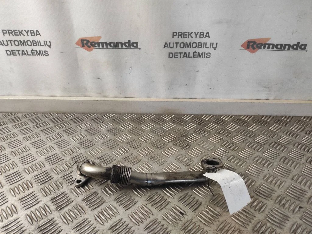 EGR caurule (-es)/ šļūtene (-es) 038131521BM