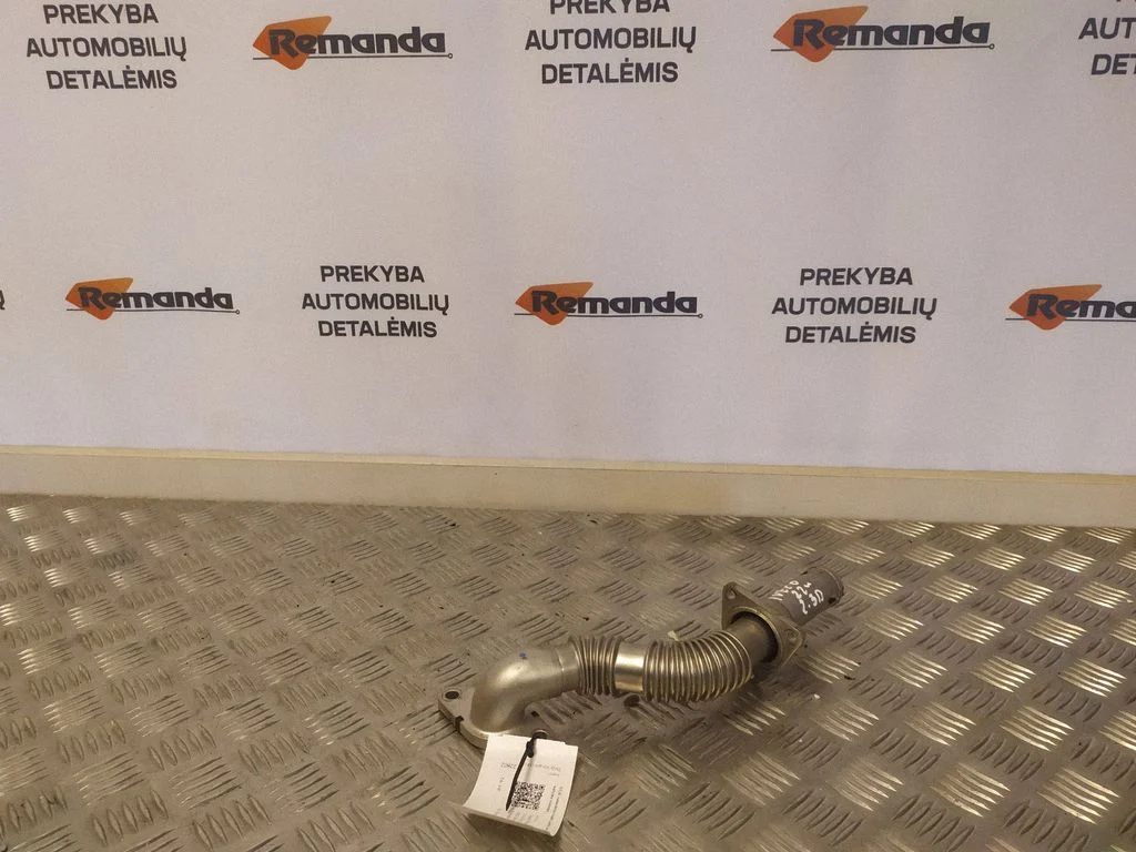 EGR vamzdelis (-iai)/ žarna (-os)