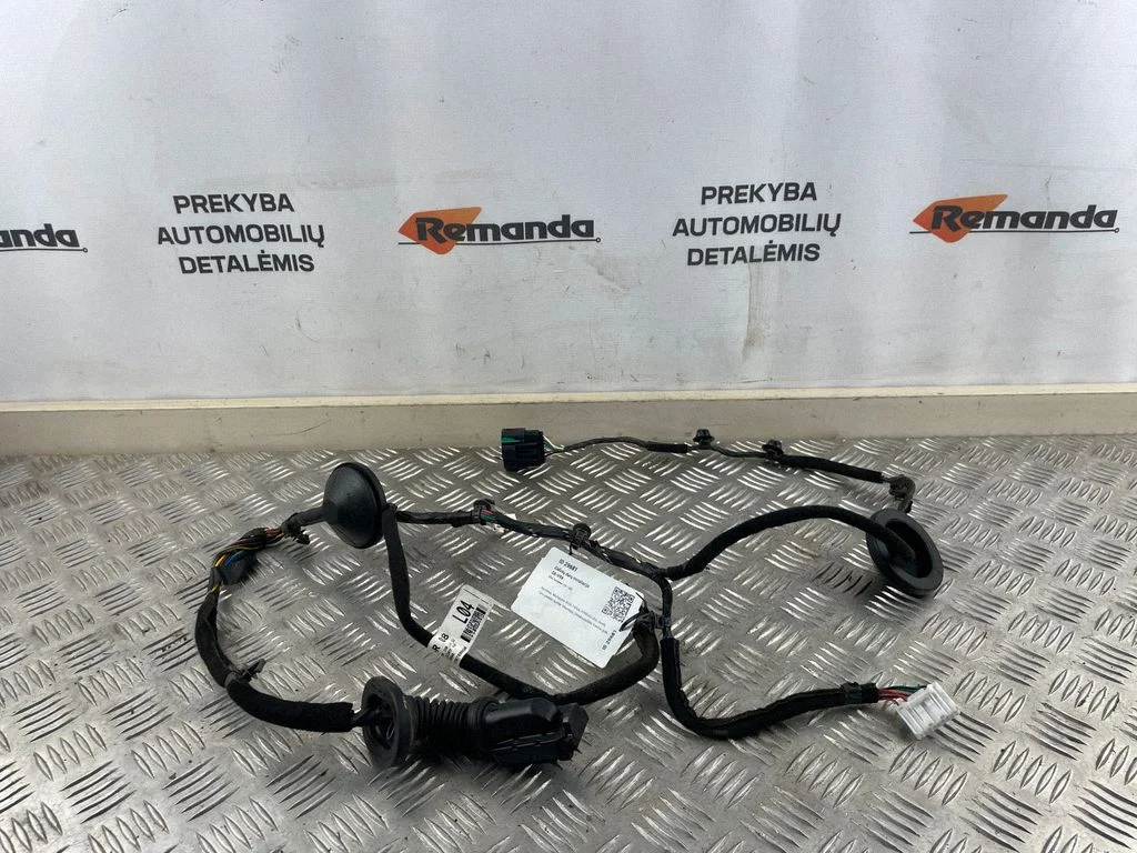Aizmugurējo durvju vadu instalācija 91650C5040
