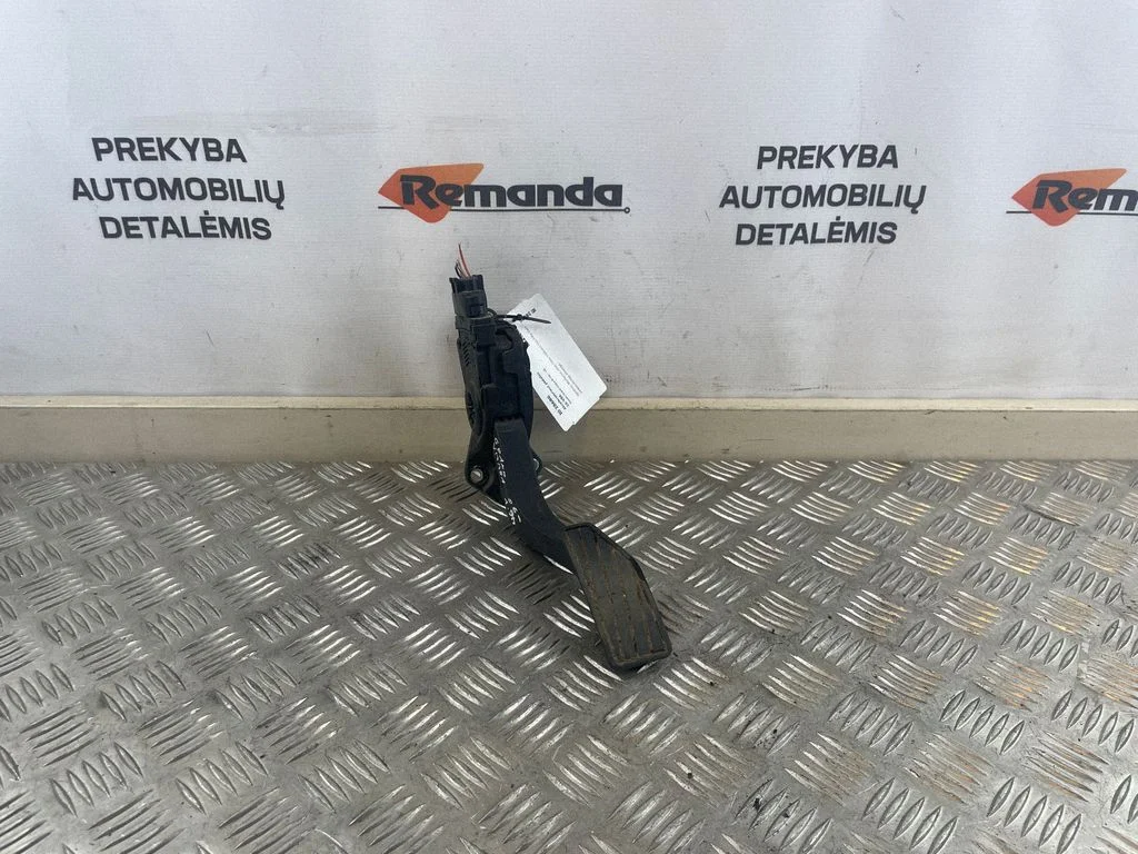 Akseleratora pedālis 1590065J01