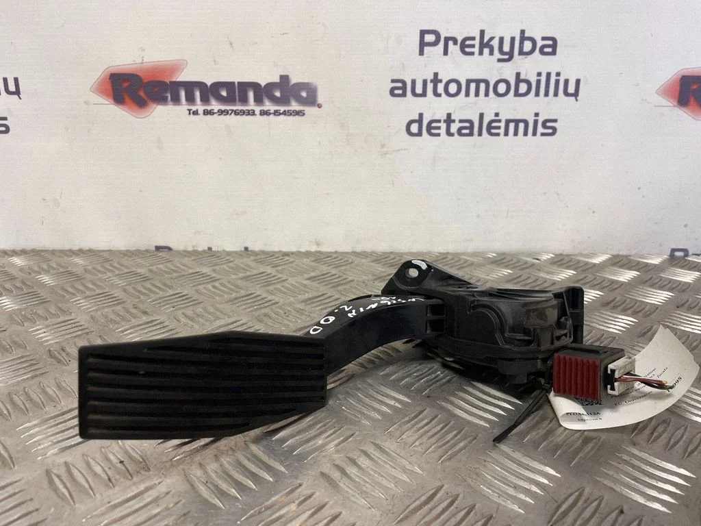 Akseleratora pedālis 13237352