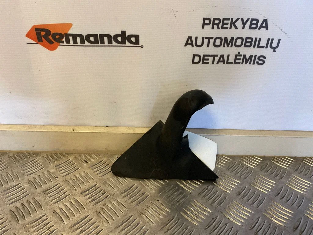 Kita išorės detalė