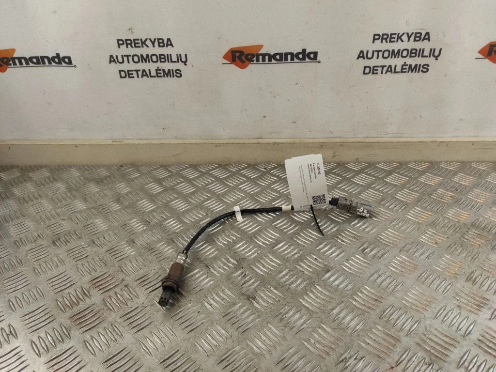 Lambdasond – Toyota RAV 4 (XA50) (2018-)