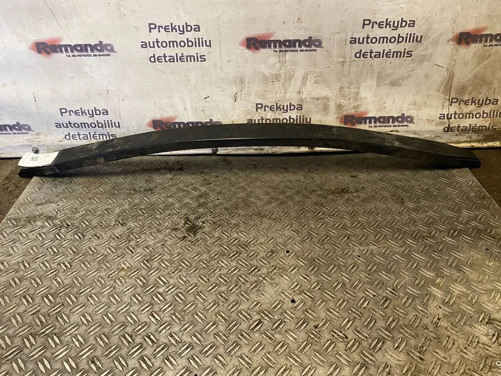 Priekinė lingė