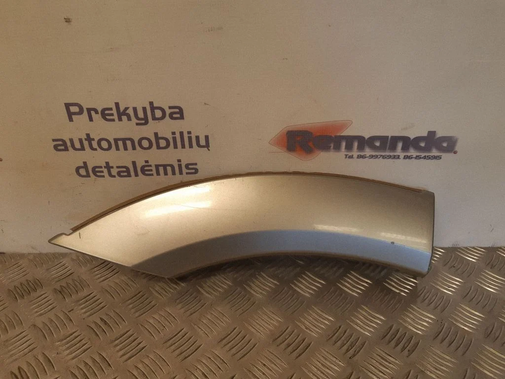 Moldingas ant galinio sparno