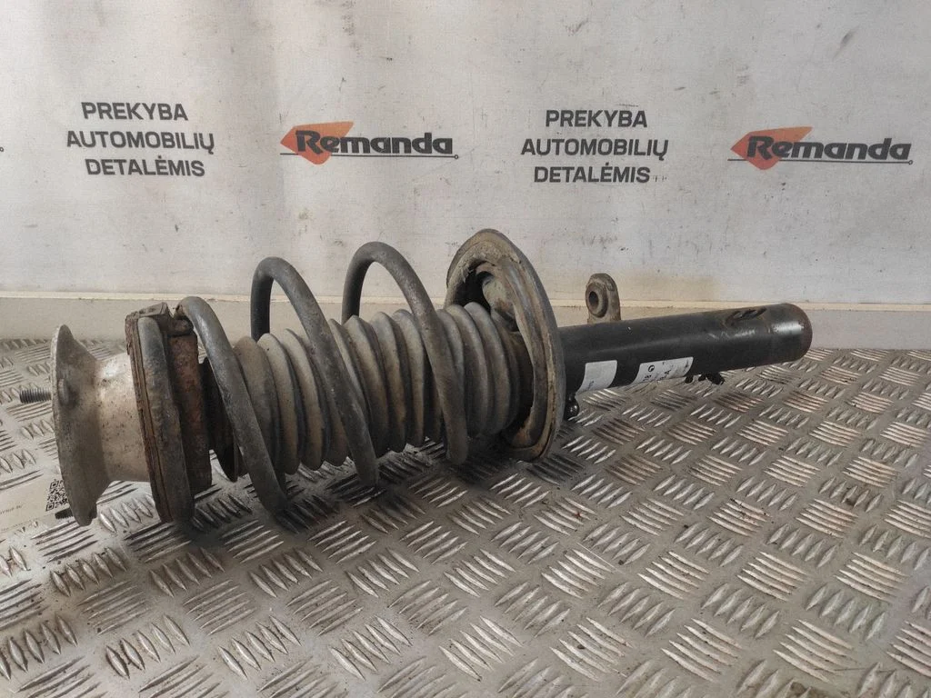 Eesmine amortisaator koos vedruga 310718