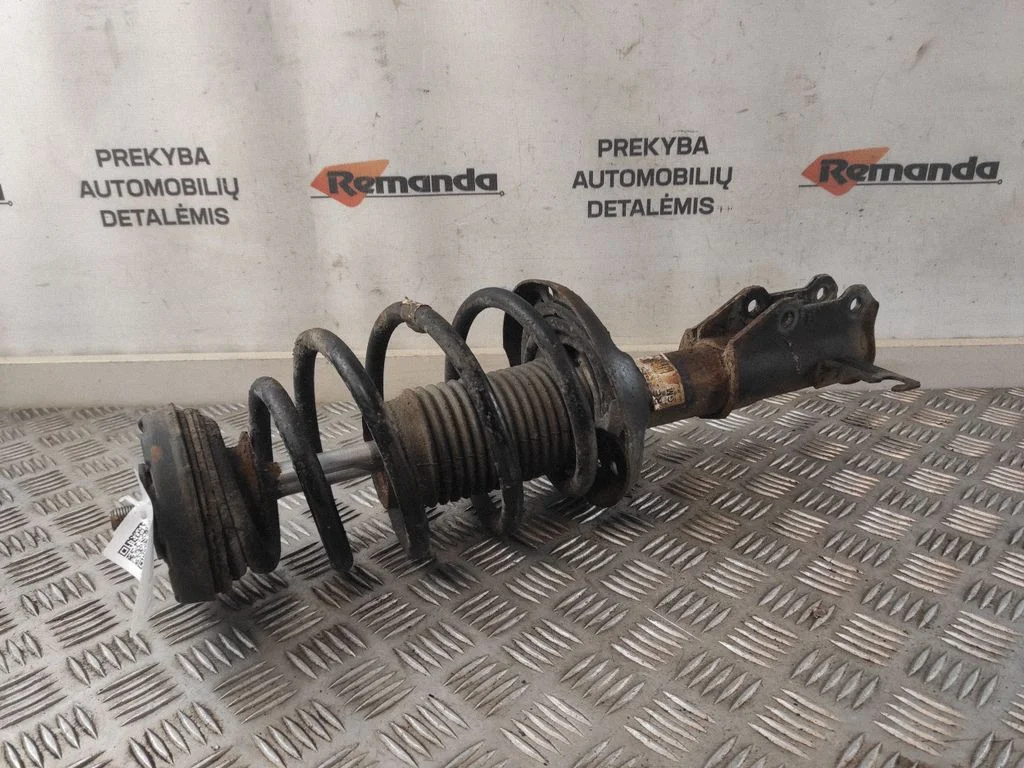 Priekšējais amortizators ar atsperi 13245966