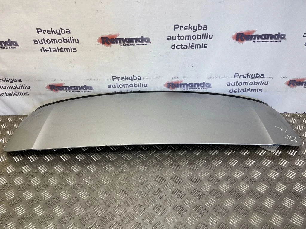 Spoileris galinio dangčio