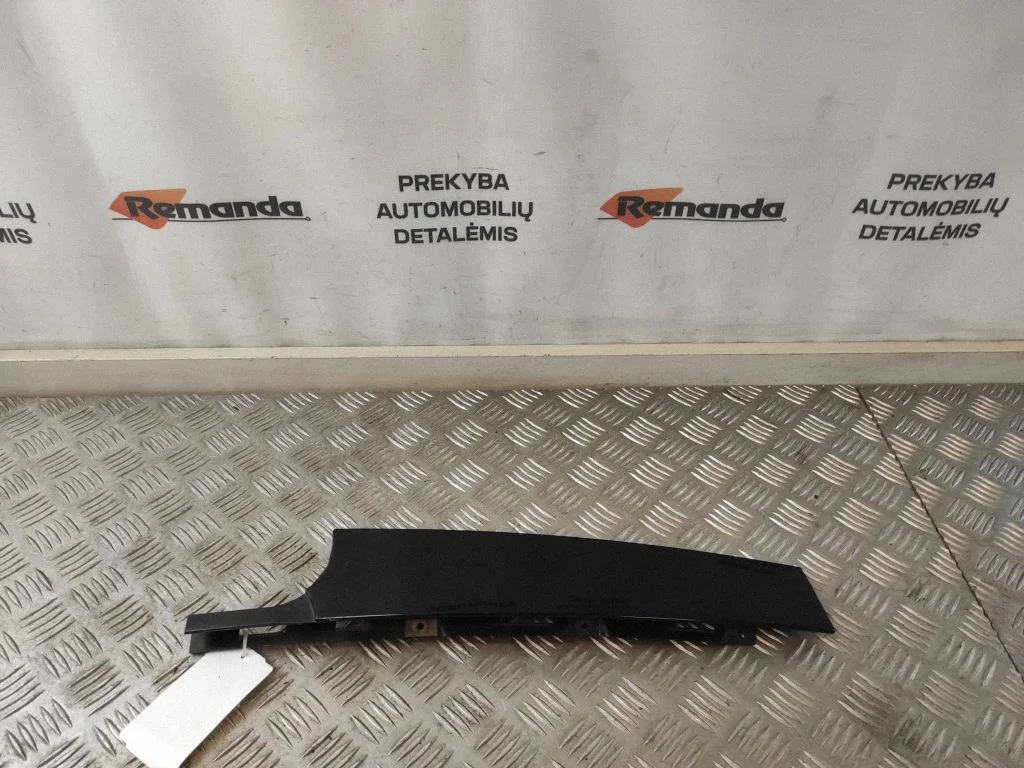 Aizmugurējo durvju stikla apdare 51139800619